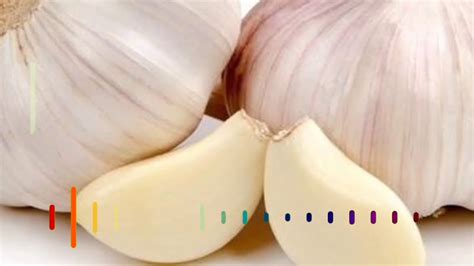 Bawang merah dapat dimakan mentah dan juga dapat panggang, goreng atau tumis selama proses memasak. Khasiat bawang putih untuk kanker beserta resep (herbal ...