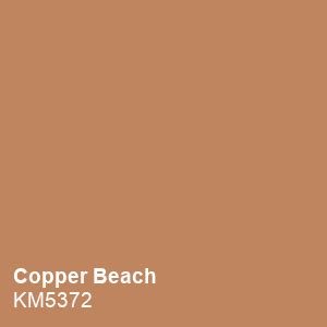 #80462, see more inspiration at decoratorist.com. Copper Beach KM5372 — just one of 1700 plus colors from Kelly-Moore Paints new ColorStudio ...