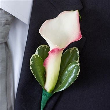 Tissue paper rose flower making. 1-800-Flowers® Pink Mini Calla Lilies Boutonniere ...