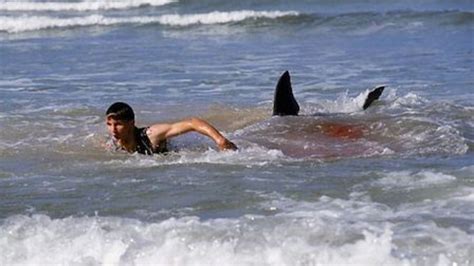 Check spelling or type a new query. New Jersey Shark Attacks of 1916 | HubPages