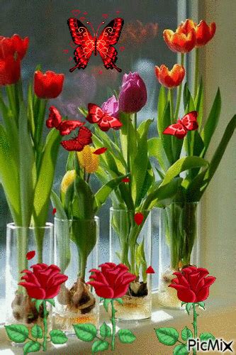 Shared by ∞ คภเ๓ค ∞. flowers gif - PicMix