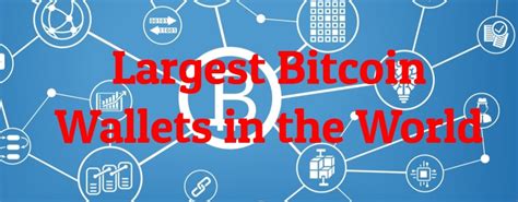 Who own the second worlds biggest bitcoin wallet? 8 Largest Bitcoin Wallets in the World | Largest.org