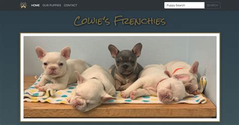 The best french bulldog breeder. Cowie's Frenchies - French Bulldog Puppies for Sale in Los ...