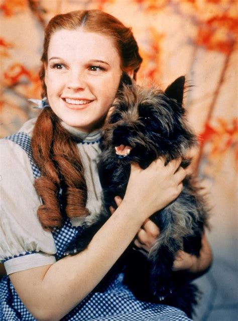 You'll forward the message to the client, wait for as long as they've yet to. The FBI Found Judy Garland's Ruby Slippers From "The ...