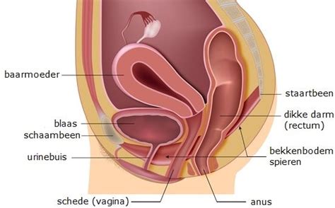 Yoni massage is a tantric practice and form of sensual massage that helps women to explore, understand, and become comfortable with their bodies. Kegel exercises | Tantra - Yoni massage