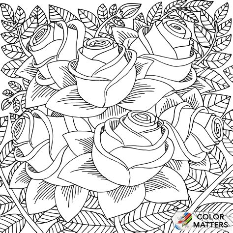 We did not find results for: Pin by Deborah Keeton on Coloring pages | Pattern coloring ...