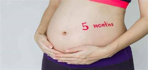 الأسبوع الرابع من الحمل هو الأسبوع الخامس للتبويض، وهكذا يصبح مدة الحمل شهر كامل. كم حجم الجنين في الشهر الرابع