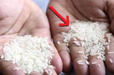 Masukkan kedalam panci yang berisi banyak air. Cara Memasak Beras Salah, Berbahaya Bagi Ibu Hamil dan ...