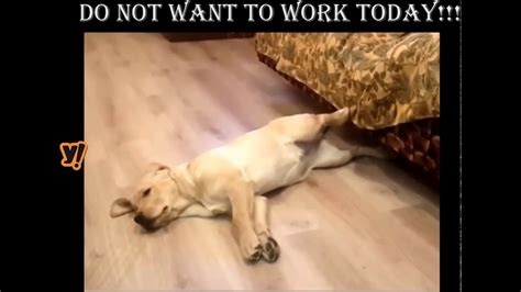 You need to quit your job and rest for a long, long time. I don't want to work today - YouTube