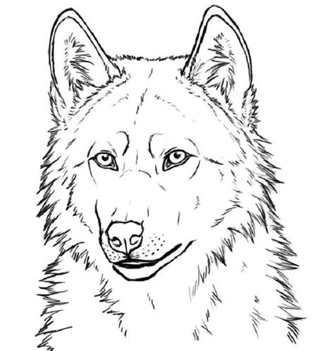 Wolves usually communicate by howling and leaving a smell in their tracks. Pin on Coloring Pages For Kids