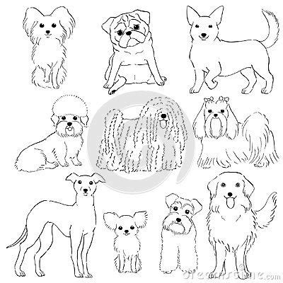 Polish your personal project or design with these dog drawing transparent png images, make it even more personalized and more attractive. Group of ten breeds of small dogs, hand drawn line art ...