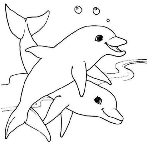 Rather color these lovely animals, worthy to become pets at the princess. Two Cute Dolphin Sea Animals Coloring Page - Download ...