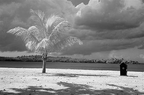 We did not find results for: Super Color IR Filter Image 3 - Infrared Conversions, IR ...