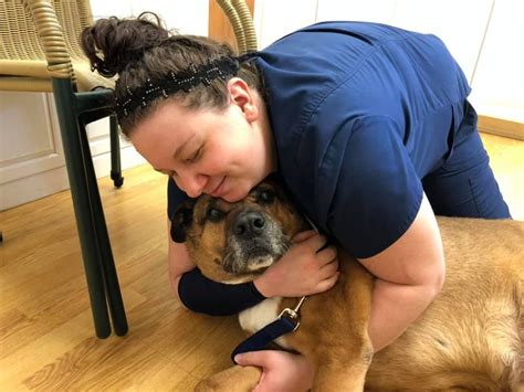 Mission animal hospital is passionate about your pet's health care. Looking to join our family? | Pet clinic, Animal hospital ...