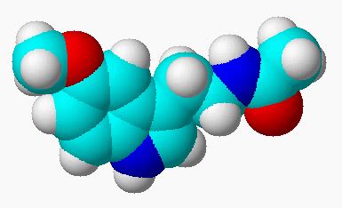 Gentili dottori, mia madre ha 67 anni e da circa 2 anni soffre di piastrinopenia. Morbo di Werlhof e Melatonina - IPT Morbus Melatonin ...