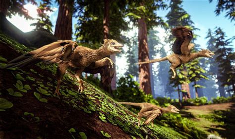 Go build breeding area big enough for 10 females and 1 male with max mutators allowed that will hit all the breeding dinos. ARK Survival Evolved Xbox update LIVE - Tapejara and Archaeopter added | Gaming | Entertainment ...