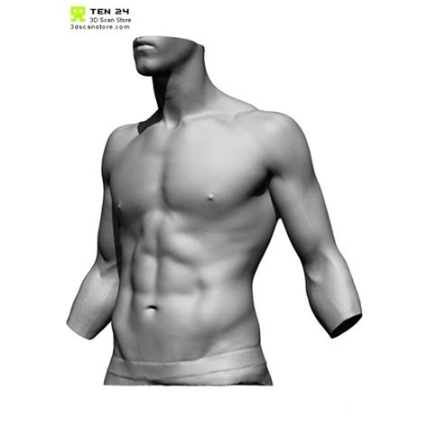 Some torso for your reference, noob anatomy but feel free to use them hehehehehehhe btw sorry for being inactive for so long baes hoho. Pin by Kat Nguyễn on Pinky Trippy Portrait (With images ...