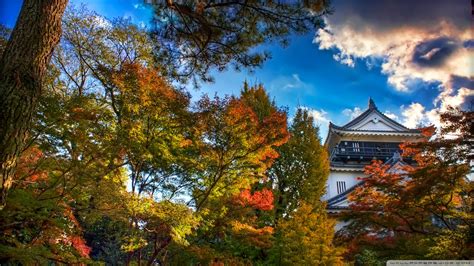 Japan wallpapers, backgrounds, images— best japan desktop wallpaper sort wallpapers by: Download Japanese Castle Autumn Wallpaper 1920x1080 ...