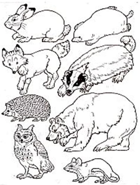 Find high quality jan coloring page, all coloring page images can be downloaded for free for personal use only. The Mitten at janbrett.com Story retelling prop printables ...