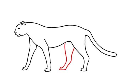 Cheetah is a wild animal and is also known as hunting leopard. How to Draw a Cheetah Step by Step Part 3 - Easy Animals 2 Draw