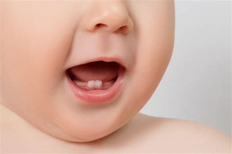 Lebensjahr werden die milchzähne dann schrittweise durch die bleibenden zähne ersetzt. Zahnungsprobleme