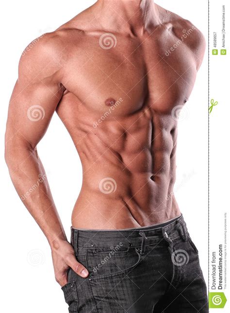 Male torso with muscles, with a fadeout revealing the internal organs. Male torso stock image. Image of image, male, muscles ...