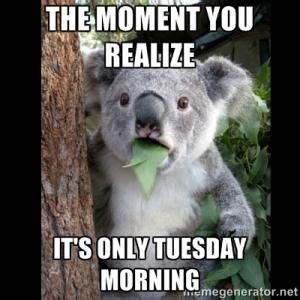 Be sure, it will at least make your buddies laugh. #tuesday #weekdays #memes #humor #quotes #dude #fun ...