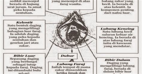 Tini mulai dengan memencet telapak kakiku. 9 Bahagian Faraj Yang Perlu Diuruti Zakar Ketika ...