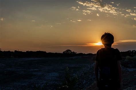 The hd version looks amazing. HD wallpaper: silhouette of child sitting behind tree during sunset, silhouette of boy reading ...