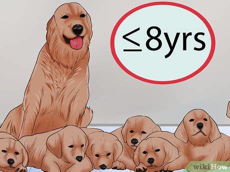 This is because during the estrus cycle, the urine female dogs going into heat can be a trying time for everyone involved, and then some. How to Know when to Stop Breeding a Female Dog: 10 Steps