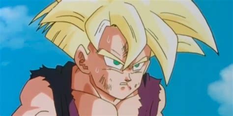 Broly's bio in dragon ball: Dragon Ball: Every Main Character's Biggest Fault, Ranked By How Detrimental It Is | HE'SHero.com