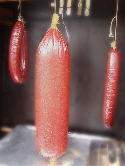 All recipes for food, cooking food, cook. The Smoke Ring | Homemade bologna recipe, Bologna recipes ...