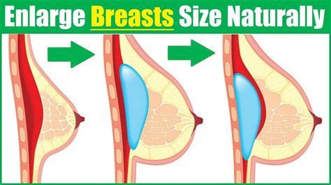 Do you lose bra cup sizes when losing weight? How to Increase Breast Size Naturally in 2 Weeks / Enhance ...