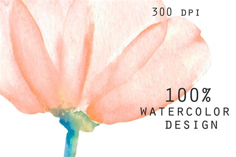 We did not find results for: Cosmos flowers. Watercolor clipart By HappyWatercolorShop ...