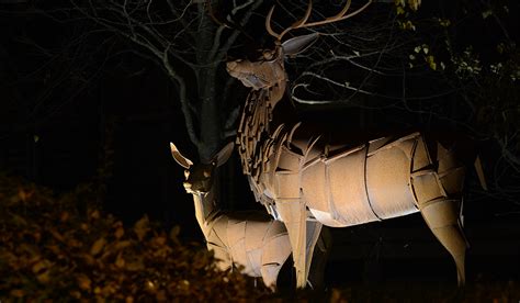 We did not find results for: The Stag Sphere, Chelmsford - it does Lighting Ltd