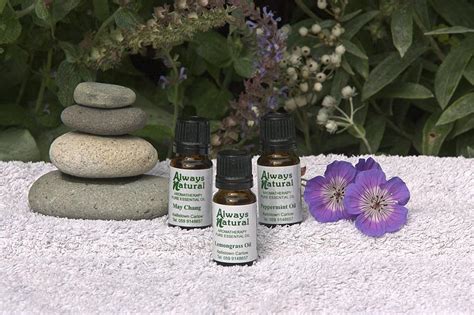 The best essential oils for each type of pest and how to use them. Pest Control Essential Oils Collection - Irish Handmade Gifts