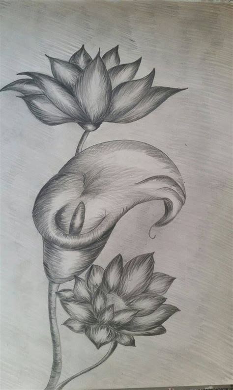 Trandafir in creion pas cu pas desen in creion cu o floare rose pencil drawing materiale. Flori desen in creion | Desene, Desen, Flori