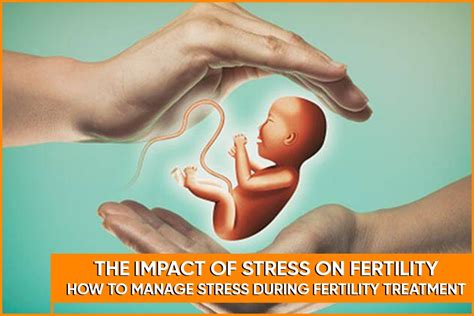 The Impact of stress on fertility: How to Manage Stress during ...