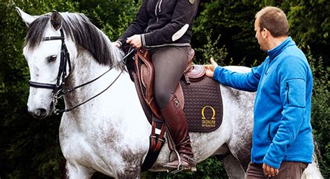 Damit wir einen sattel an ihr pferd anpassen können, erwarten wir, dass es in einem zustand ist, einen reiter und sein gewicht zu akzeptieren. Ablauf einer Sattelanprobe