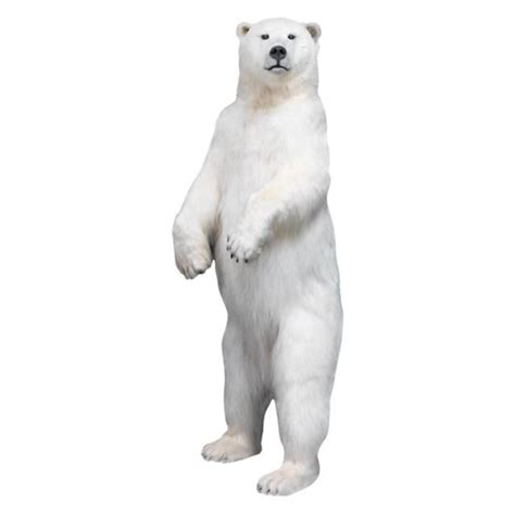 Une photo d'ours polaire famélique, symbole du combat écologique, a fait le tour du monde. Photo Dours Polaire Sur La Plage - Pewter
