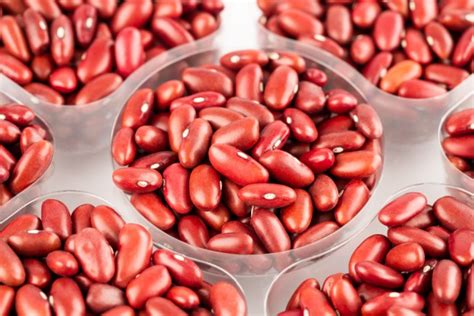 Kidney beans, like other beans, are rich in soluble and insoluble fiber. Here's Why You Should Never Cook Kidney Beans In Your Slow ...