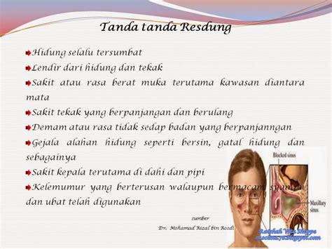 Fungsi sinus salah satunya adalah untuk menghasilkan mukus. Mama Izara: Resdung sembuh lepas ambil Alfalfa.