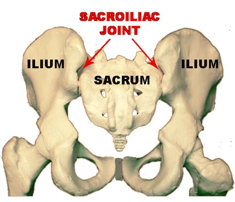 Pengapuran tulang merupakan salah satu penyakit pada tulang di mana terdapat penumpukan pengapuran tulang ini dapat mempengaruhi kerja setiap sendi, seperti sendi lutut, pinggul dan. Sakit Tulang Belakang: Apa itu penyakit arthritis sendi ...