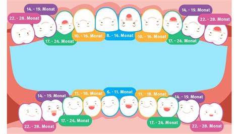 Zwischen dem elften und 13. Milchzähne richtig pflegen & Baby Zähne gelassen erleben ...