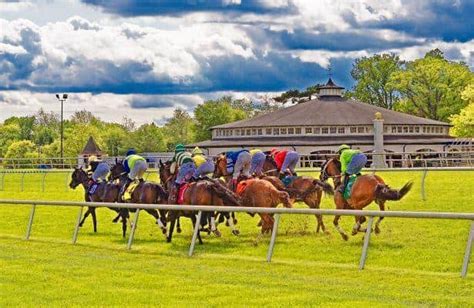 The hip horse looks at the field for the 2020 preakness. Laurel Park winter meet to offer 24 stakes worth $2.65 million