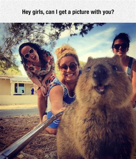 This competition ends at 12pm, 3 february 2021. The Most Acceptable Use Of A Selfie Stick - Barnorama