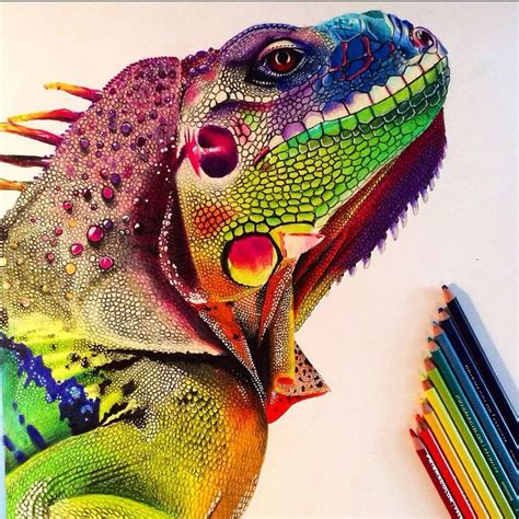 In the drawings category you can convert your photo to art by applying effect of your choice. Iguana 2 by courtneymyers | Colorful drawings, Dark art ...