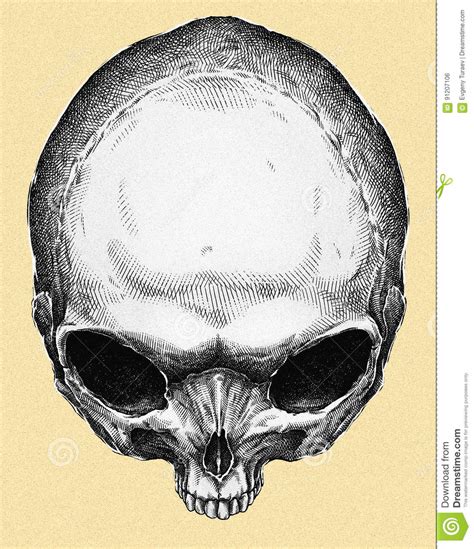 Engrave Isolated Alien Skull Hand Drawn Graphic Illustration Stock ...