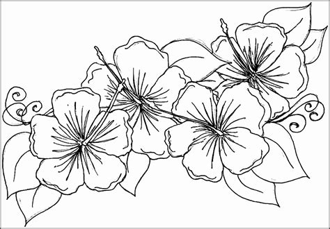This png image was uploaded on october 5, 2017, 11:18 am by user: 6 Hawaiian Flower Template for Coloring - SampleTemplatess ...