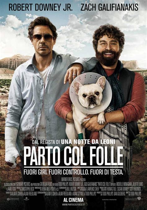 Film parto col folle streaming gratis sul nostro sito cb01. Parto col folle - Film (2010)